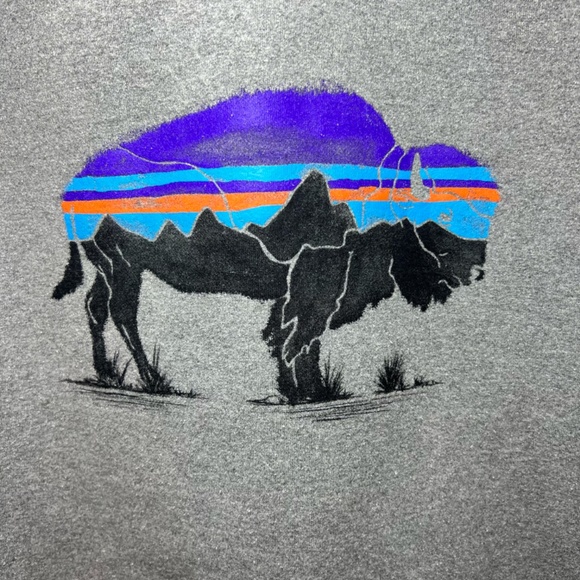 Patagonia Mens Fitz Roy Bison Uprisal Hoodie Sweatshirt Gray Graphic 39582 Small - Picture 4 of 11